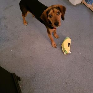 Meet your Posher, Jenna